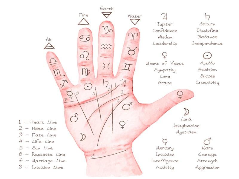 హస్తసాముద్రికం సంపూర్ణ చరిత్ర