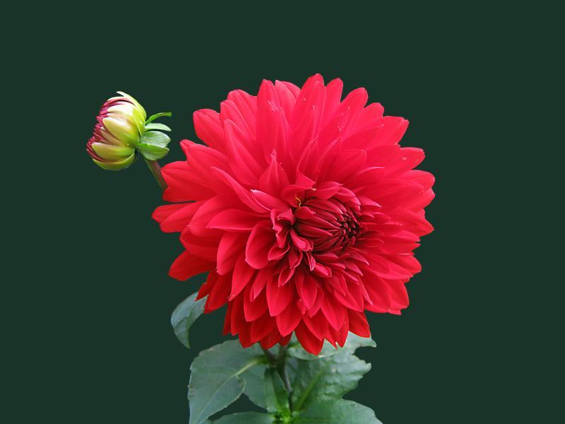 Test Blog