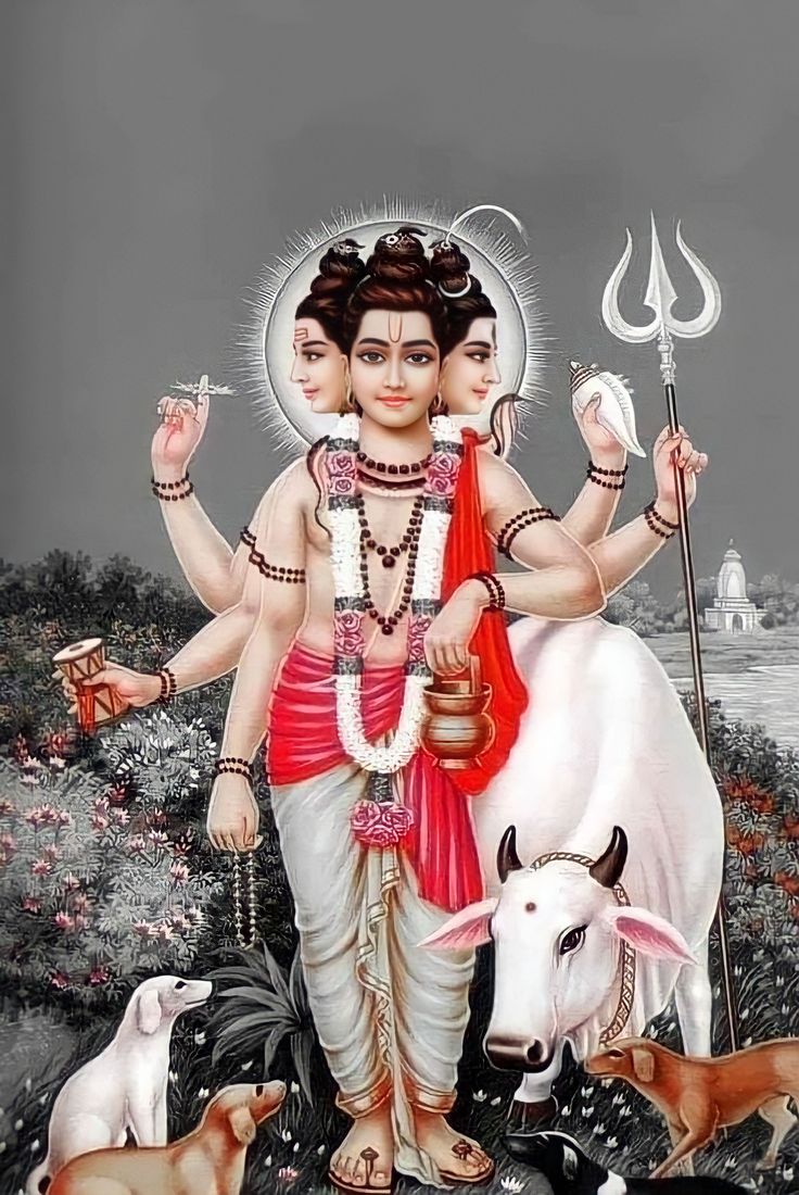 Post Image
